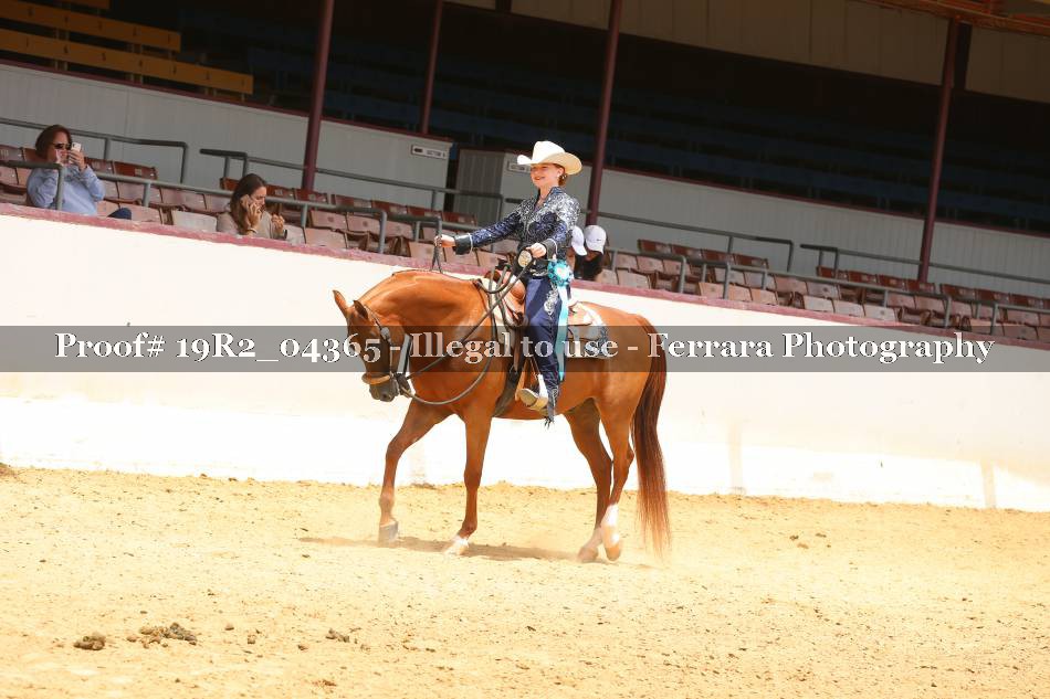 Proof 19R2_04365