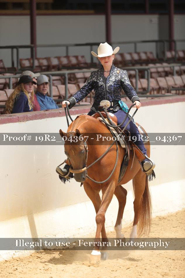 Proof 19R2_04367