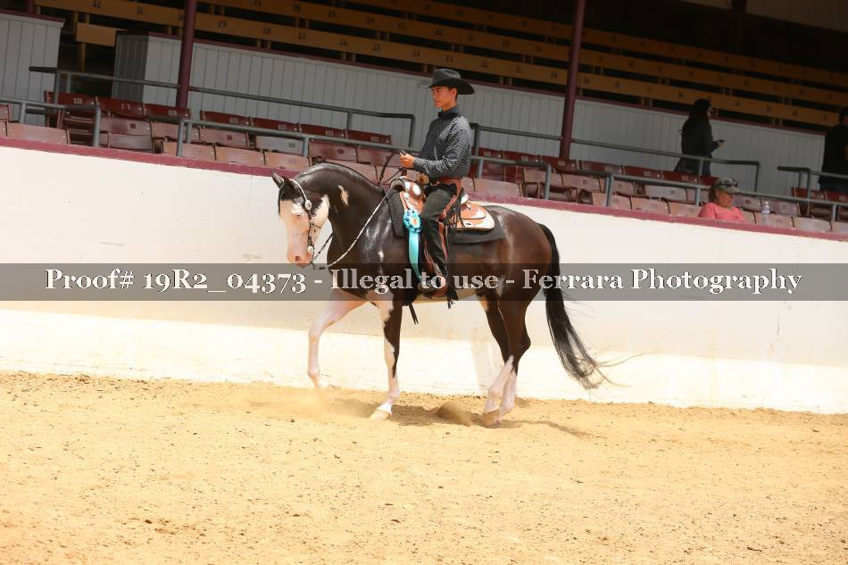 Proof 19R2_04373