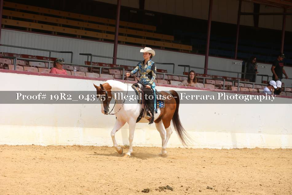 Proof 19R2_04375