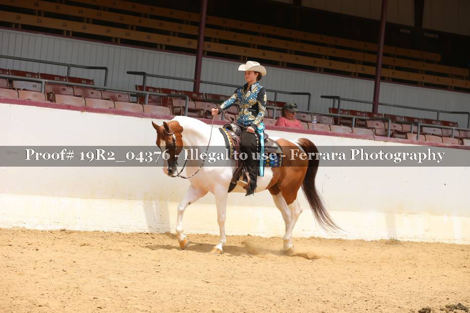 Proof 19R2_04376
