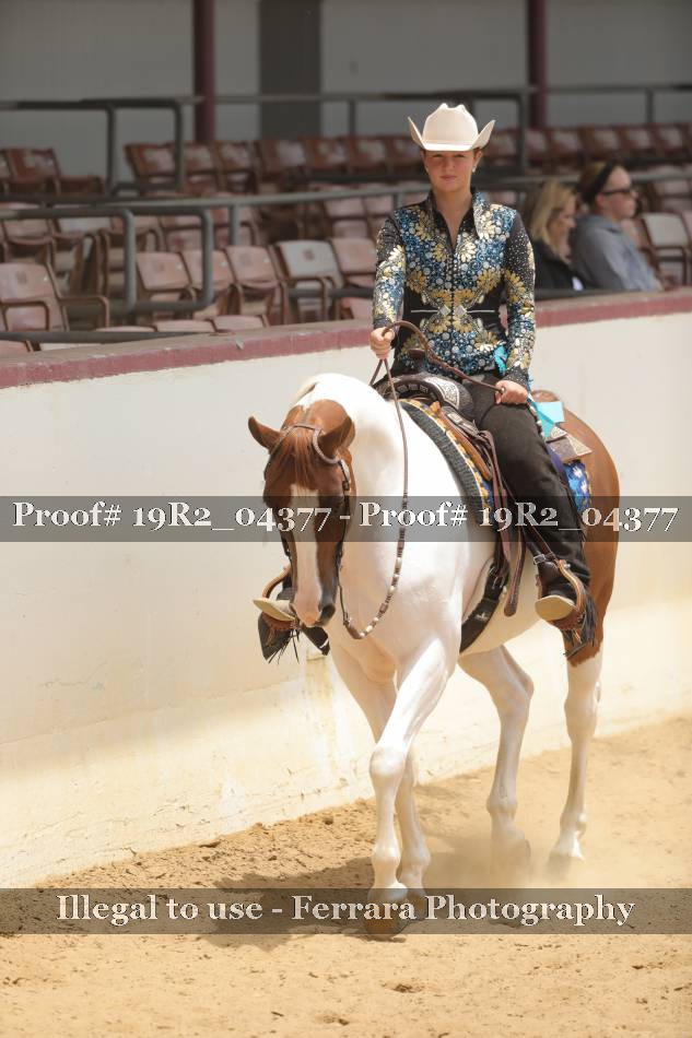 Proof 19R2_04377
