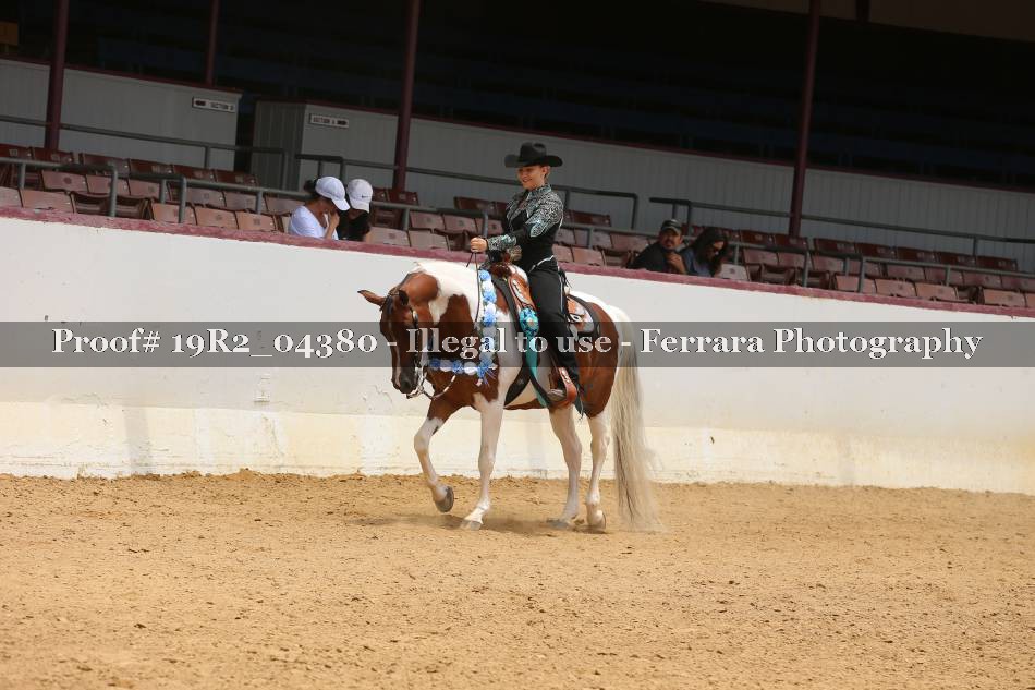 Proof 19R2_04380