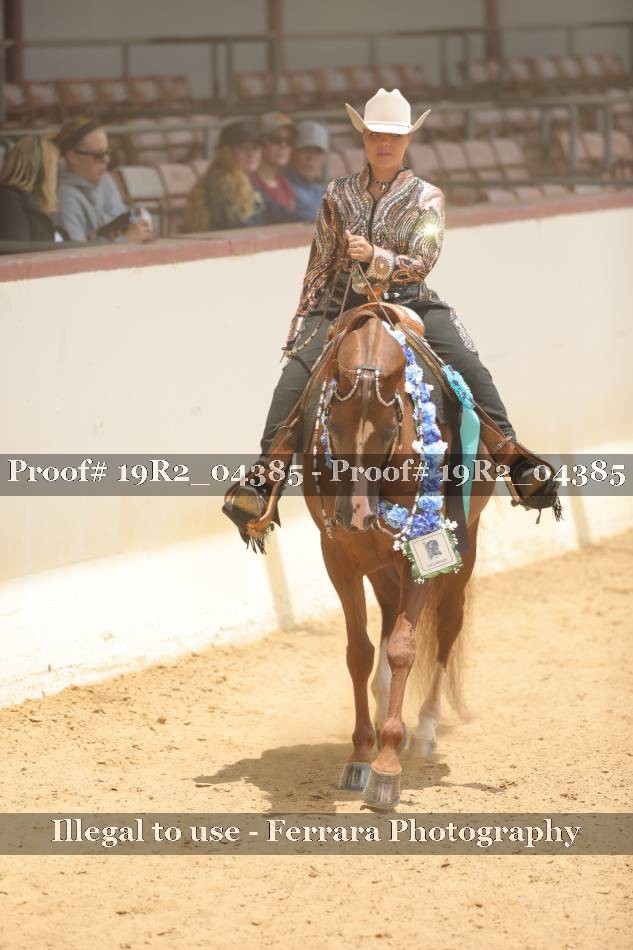 Proof 19R2_04385