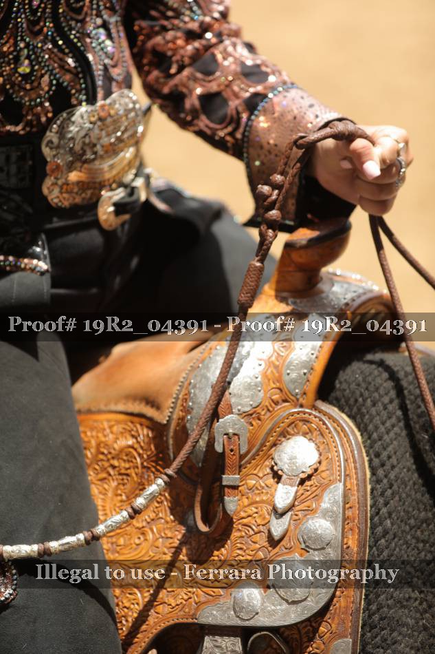 Proof 19R2_04391