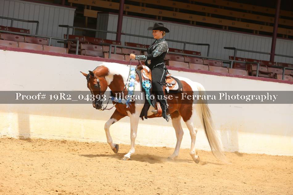 Proof 19R2_04393