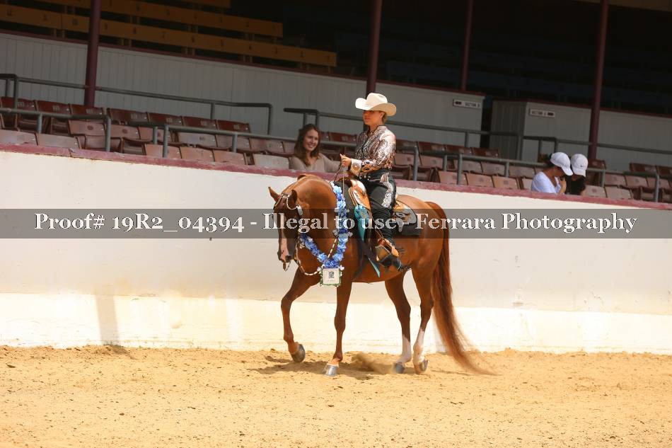 Proof 19R2_04394