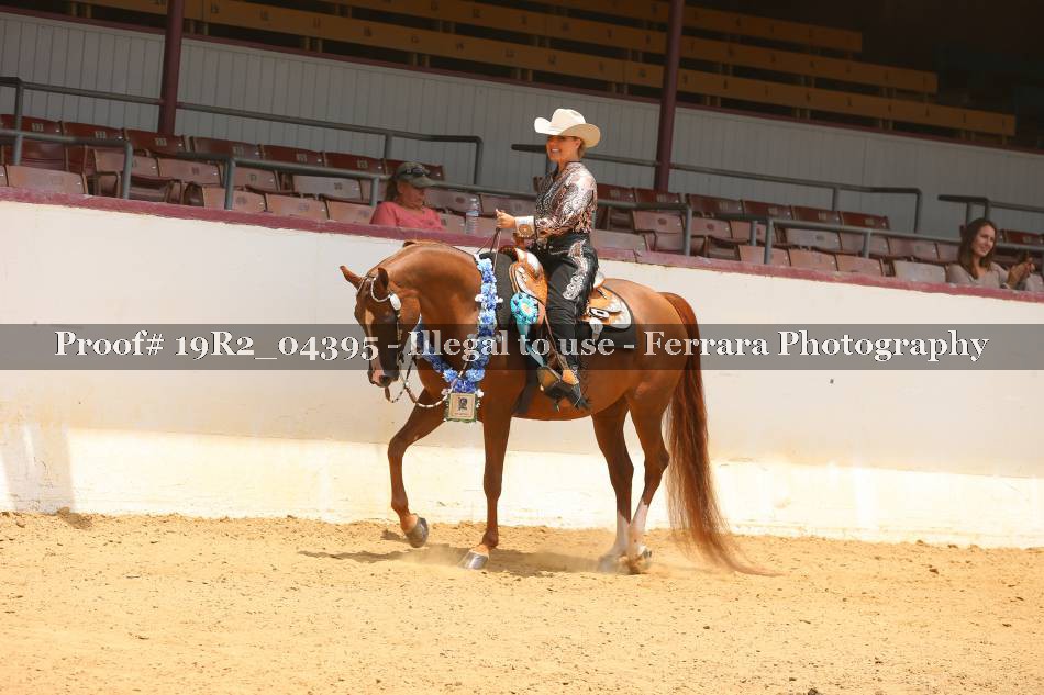 Proof 19R2_04395