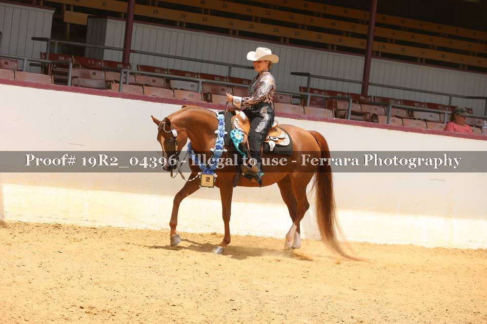 Proof 19R2_04396
