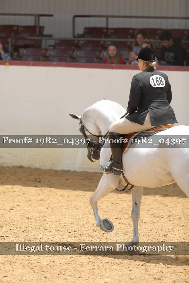 Proof 19R2_04397