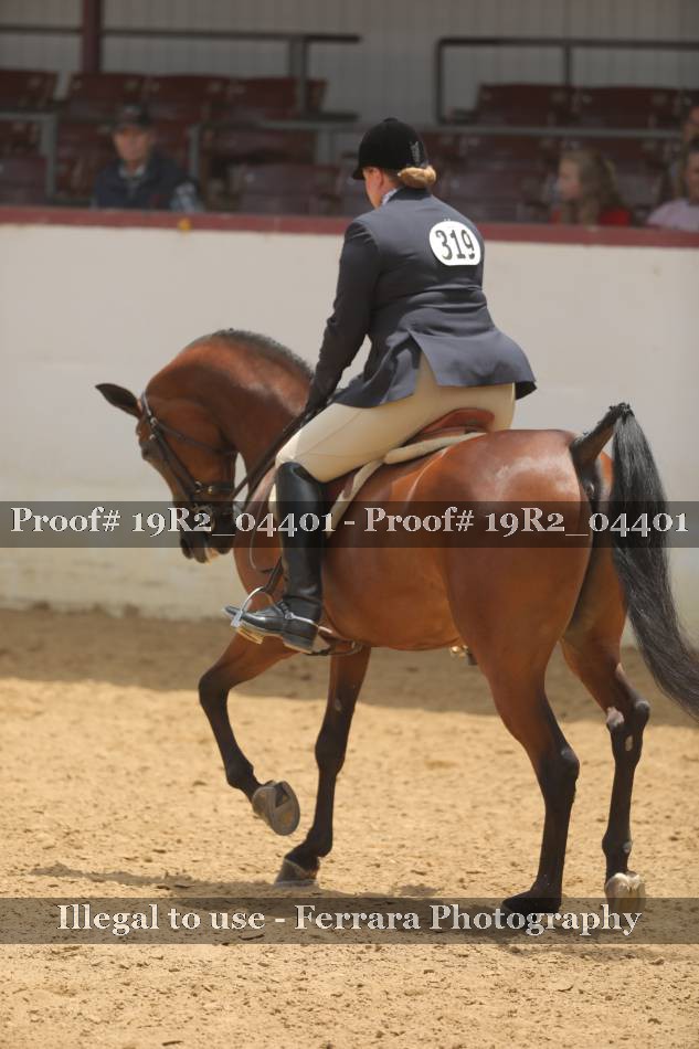Proof 19R2_04401