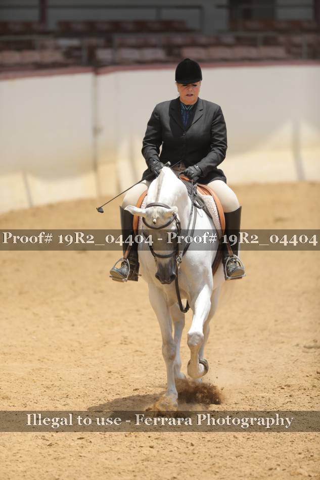 Proof 19R2_04404