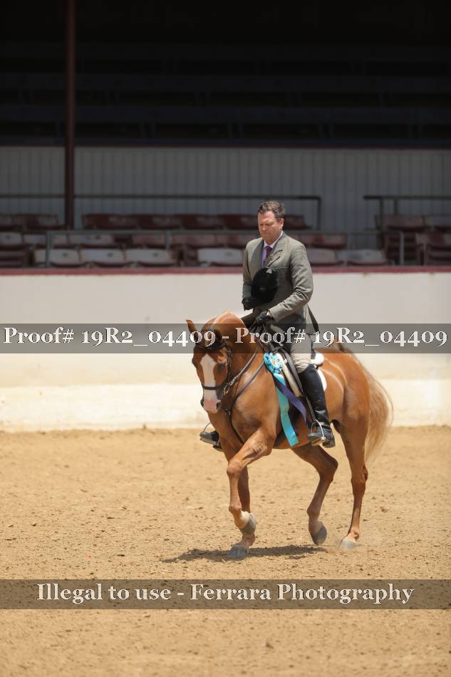 Proof 19R2_04409