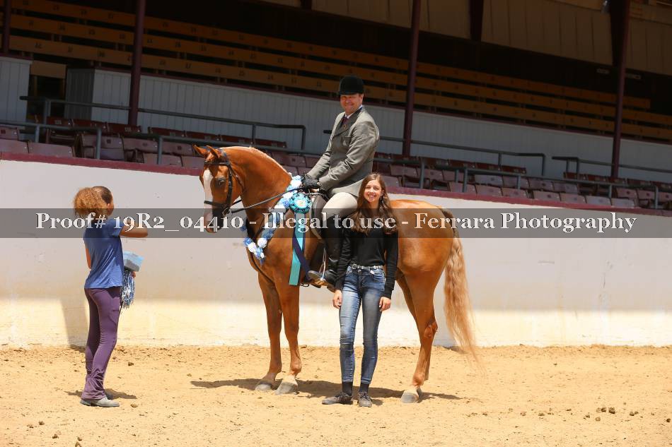 Proof 19R2_04410