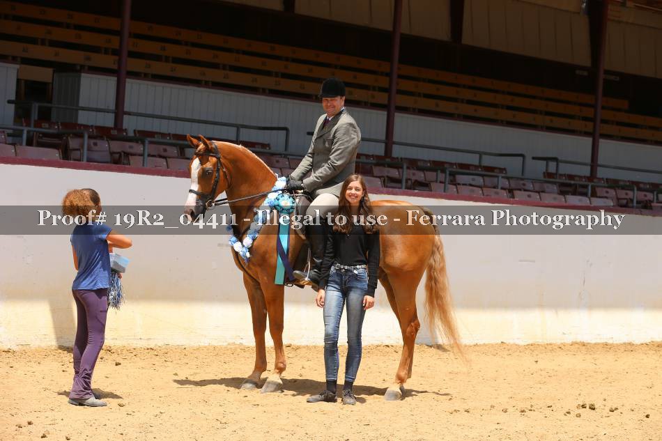 Proof 19R2_04411