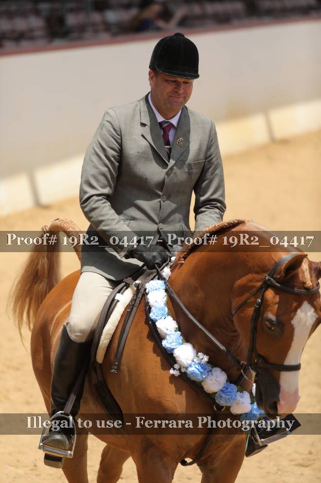 Proof 19R2_04417