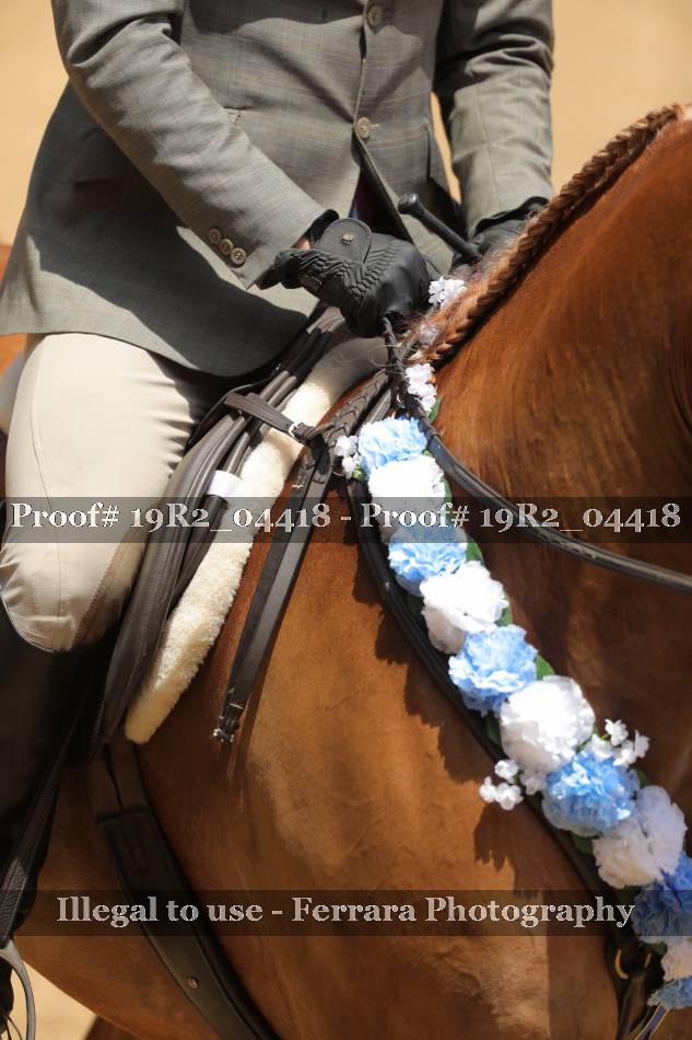 Proof 19R2_04418