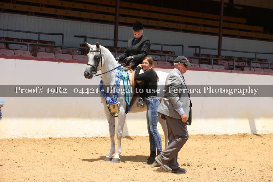Proof 19R2_04421