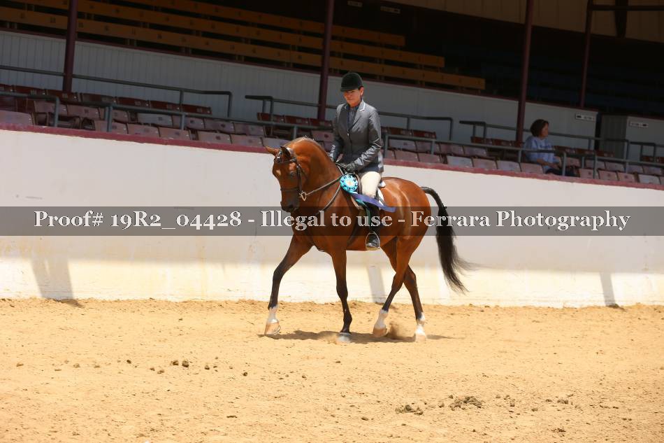 Proof 19R2_04428