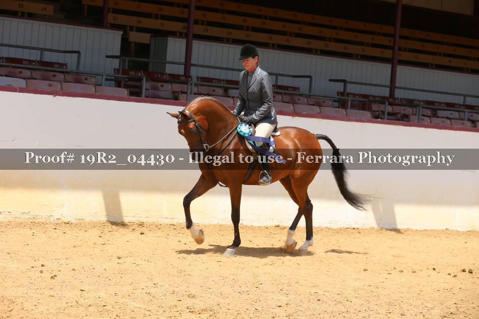 Proof 19R2_04430