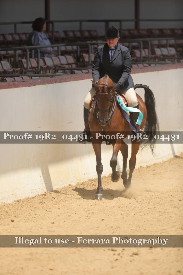 Proof 19R2_04431