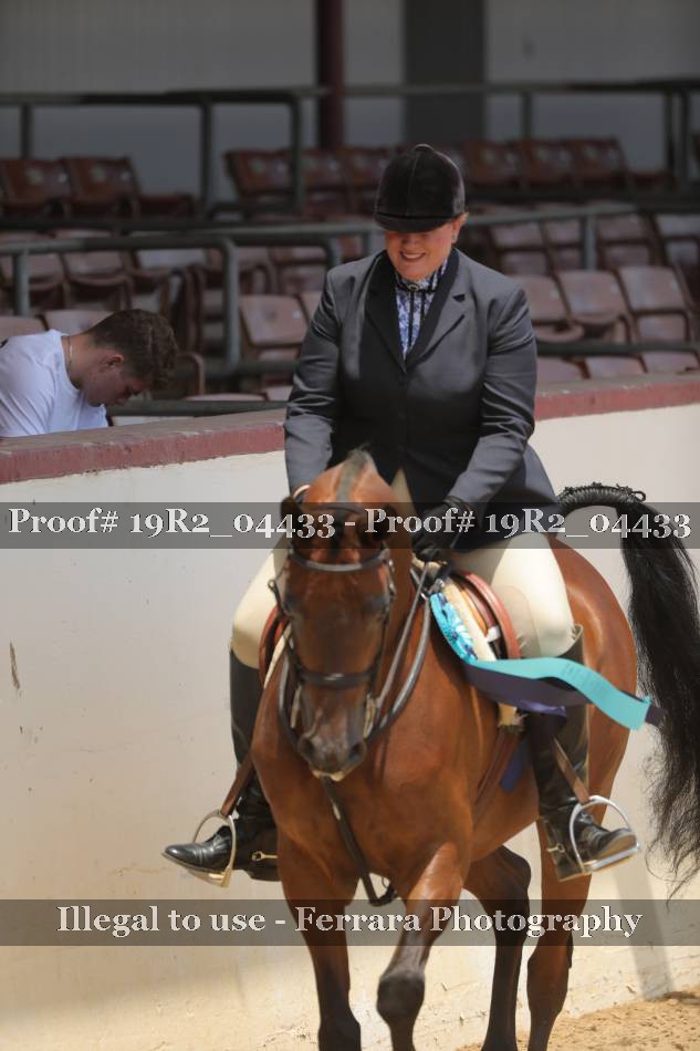 Proof 19R2_04433