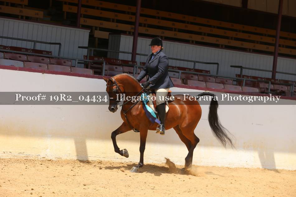 Proof 19R2_04434