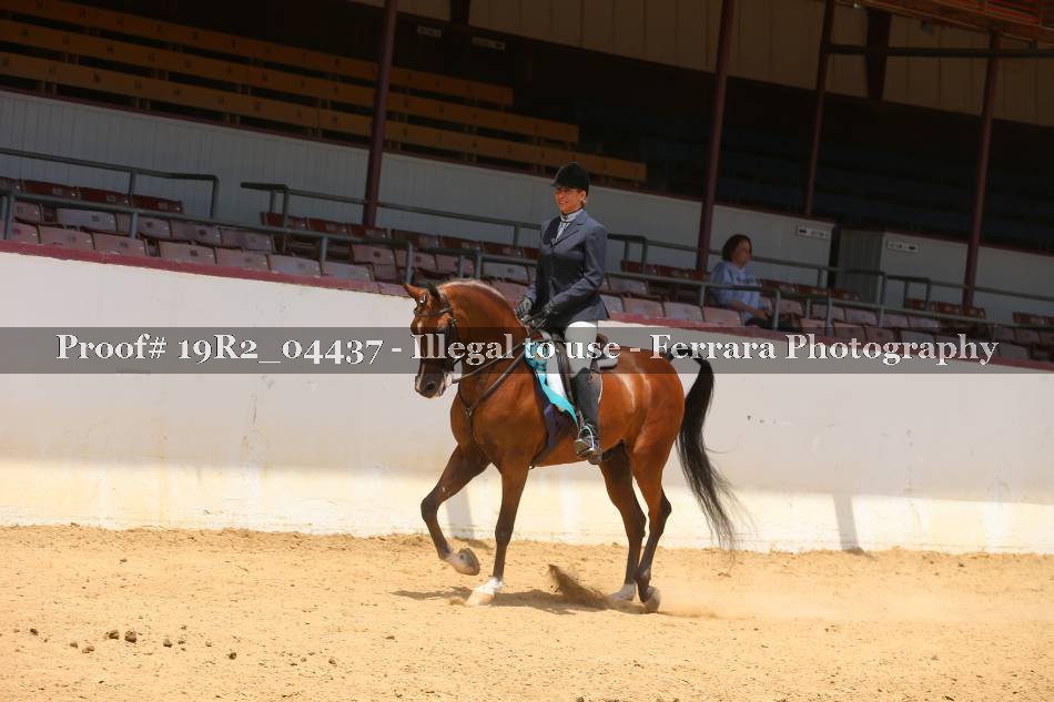 Proof 19R2_04437