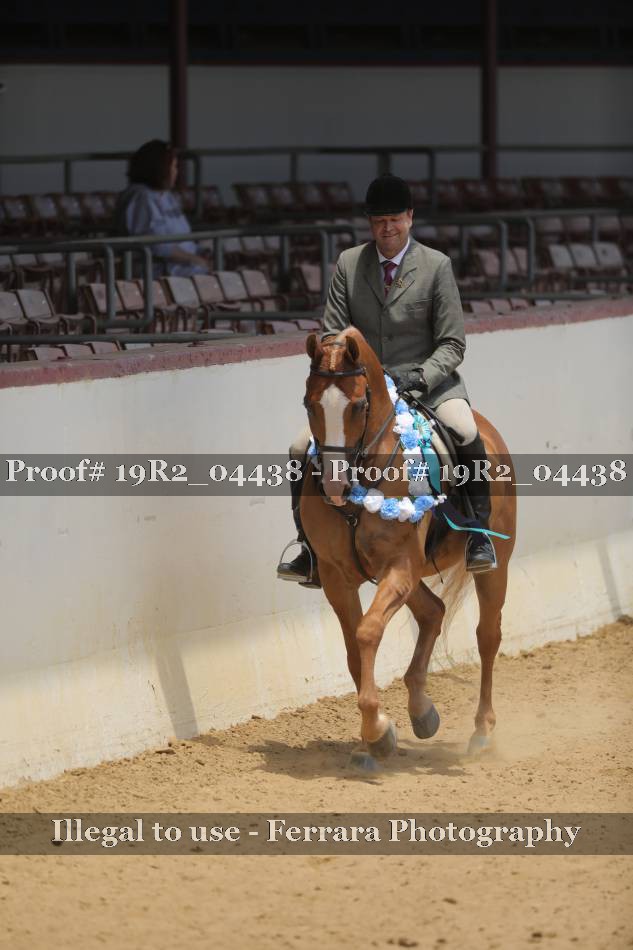 Proof 19R2_04438