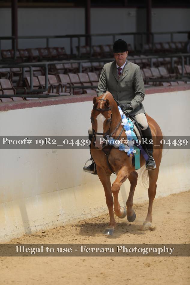 Proof 19R2_04439