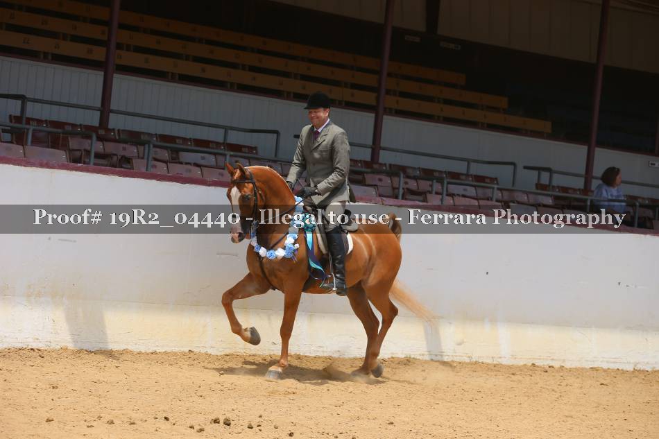Proof 19R2_04440