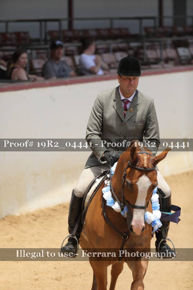 Proof 19R2_04441