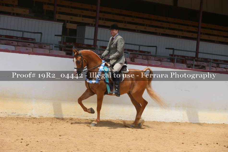 Proof 19R2_04442
