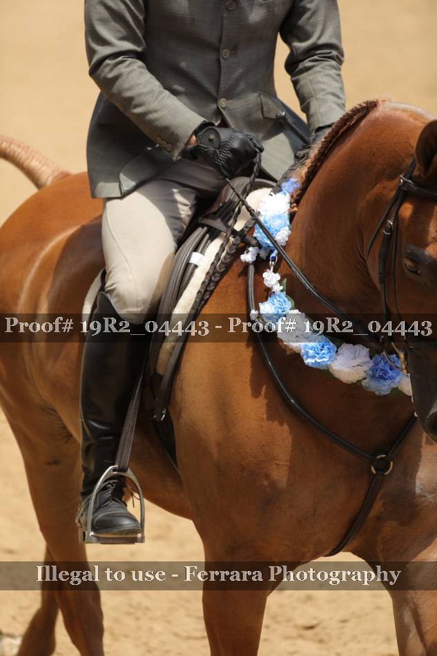 Proof 19R2_04443