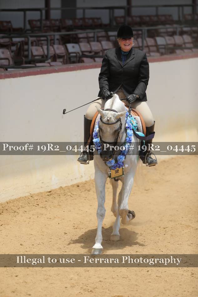 Proof 19R2_04445