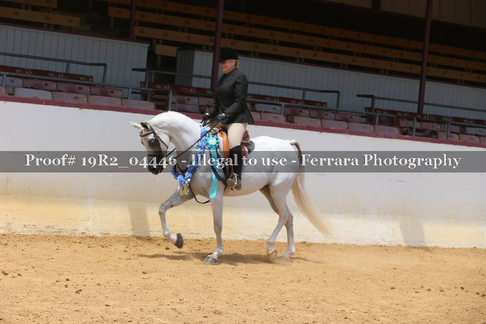 Proof 19R2_04446