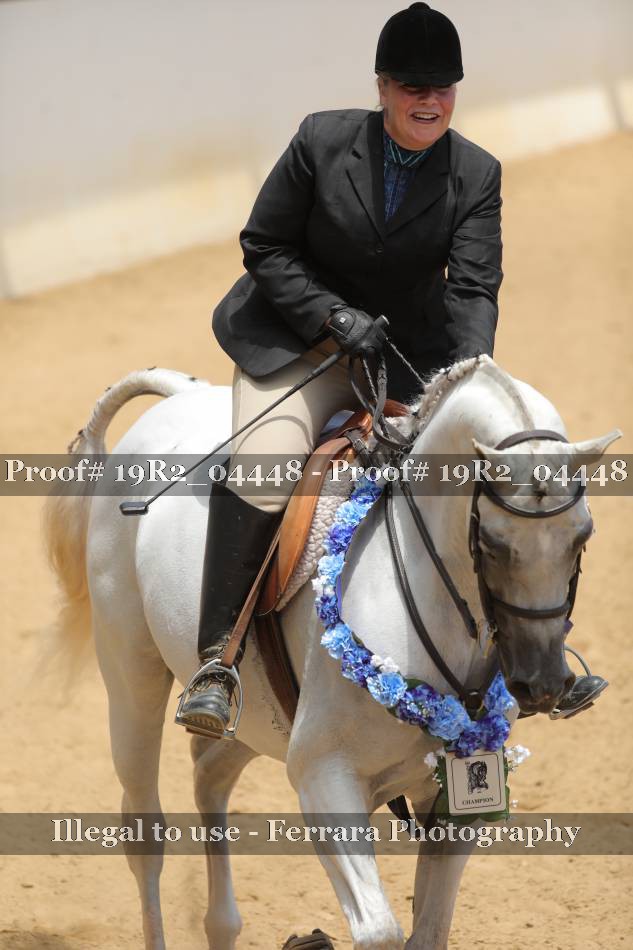 Proof 19R2_04448