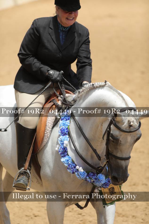 Proof 19R2_04449