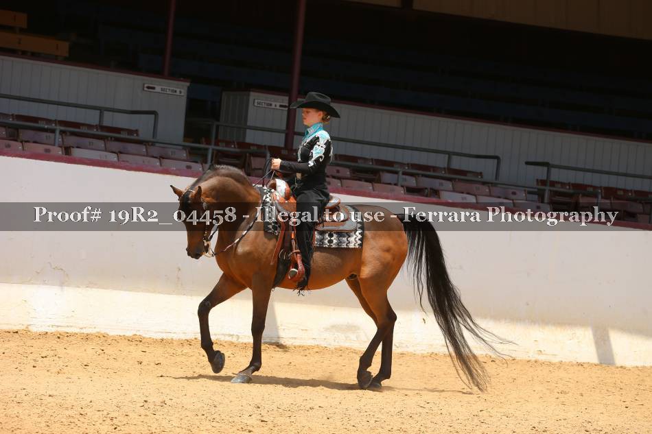 Proof 19R2_04458