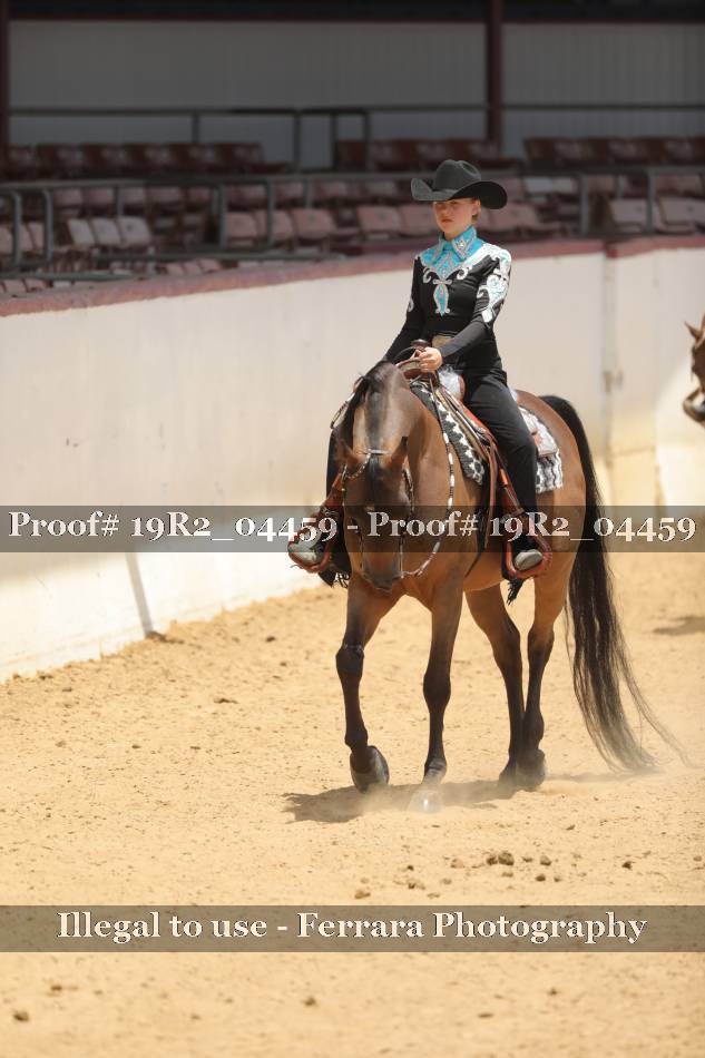 Proof 19R2_04459