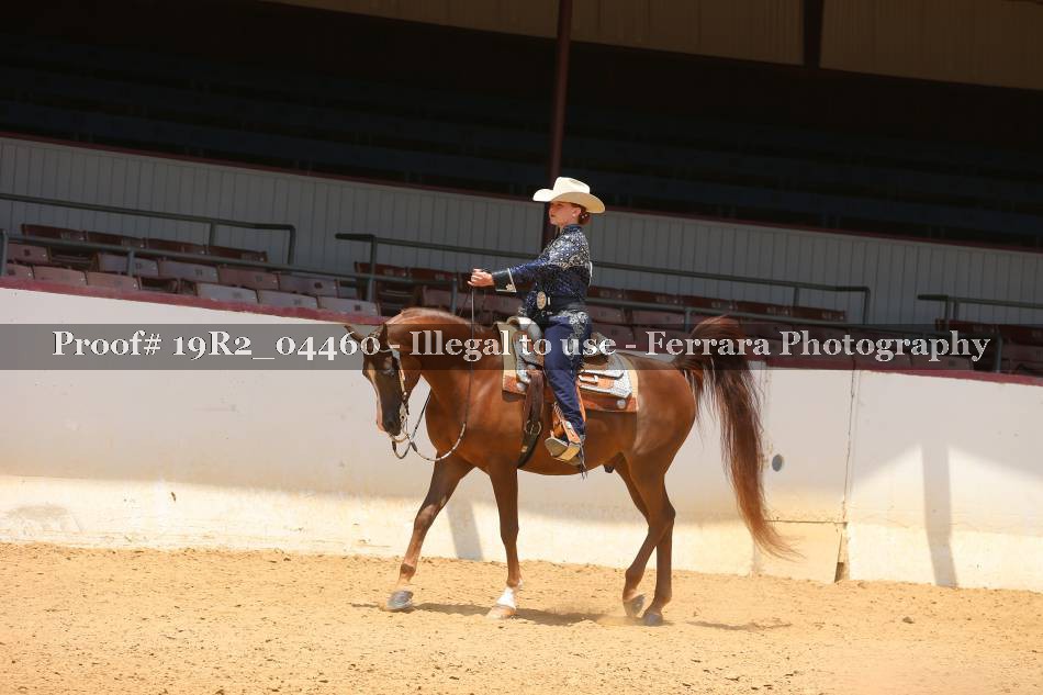 Proof 19R2_04460