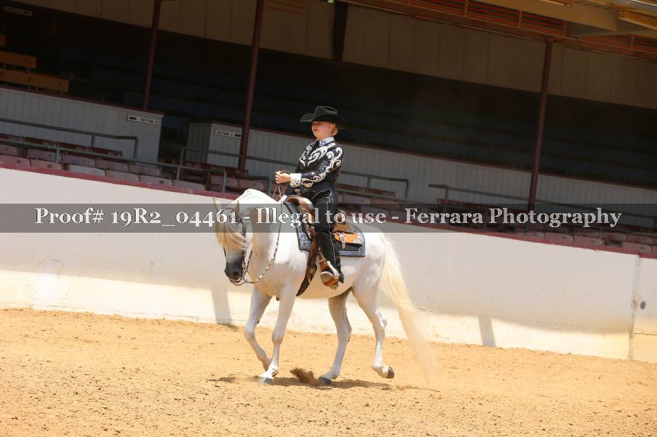Proof 19R2_04461