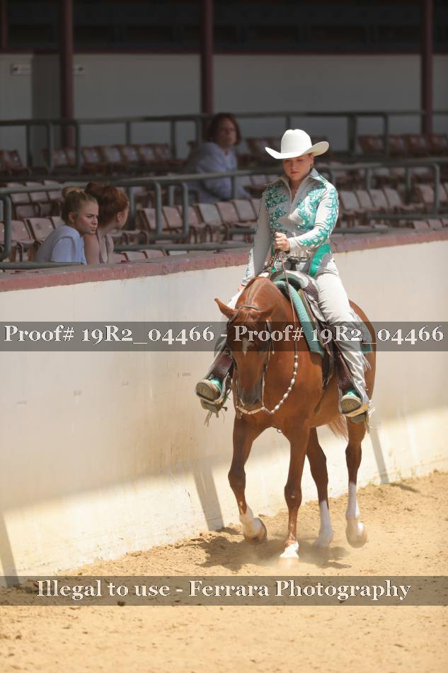 Proof 19R2_04466