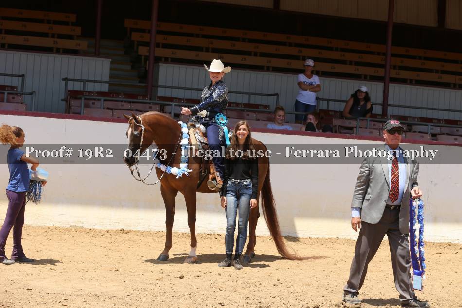 Proof 19R2_04473