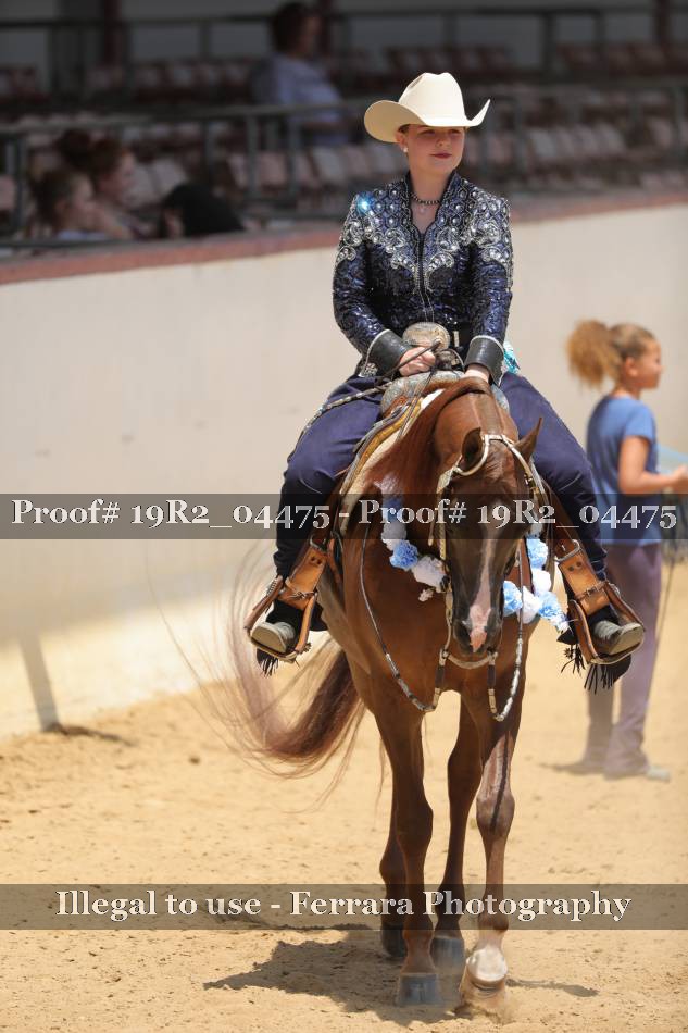 Proof 19R2_04475