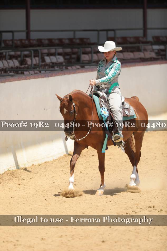 Proof 19R2_04480