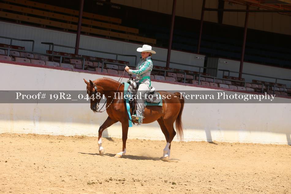 Proof 19R2_04481