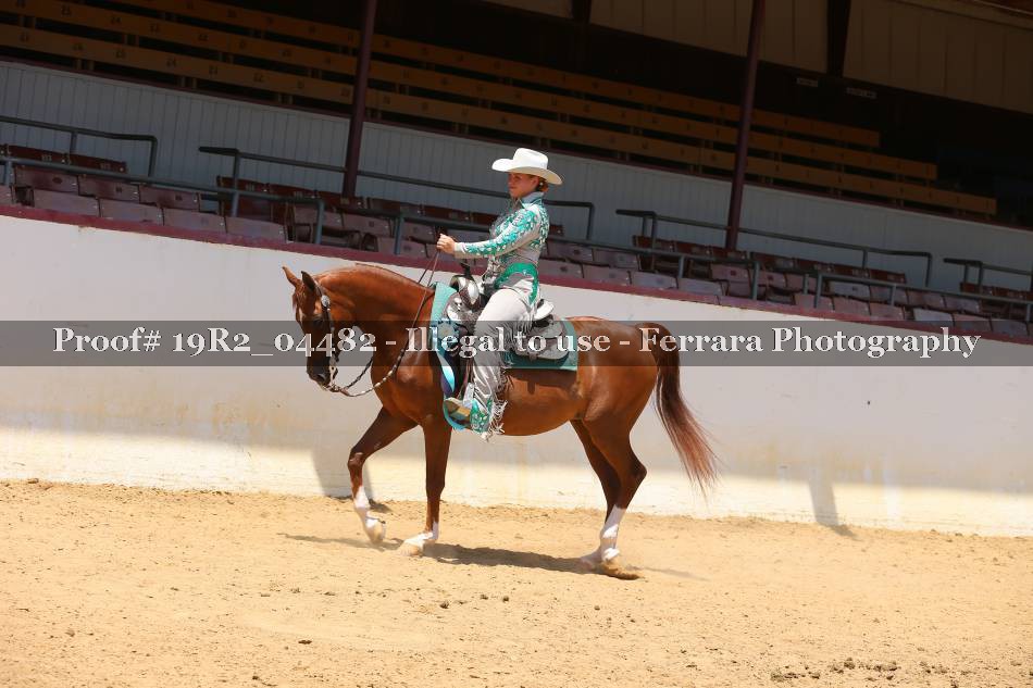 Proof 19R2_04482