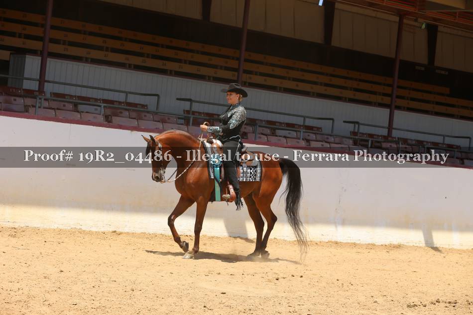 Proof 19R2_04486