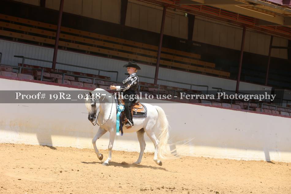 Proof 19R2_04487